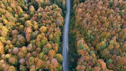 Kırklareli’nin Longoz ve Istranca ormanlarında sonbahar büyüsü
