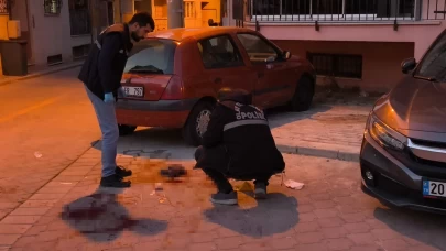 Tartıştığı ağabeyini sokak ortasında bıçaklayıp evine döndü