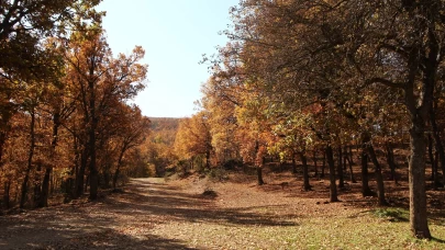 Afyonkarahisar'da doğa görsel şölen oluşturdu