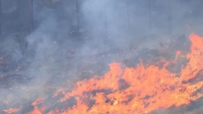 İsrail’in Lübnan’a hava saldırıları orman yangınlarını tetikledi