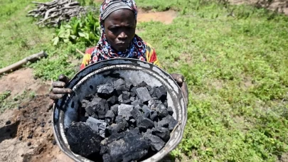 Küresel kömür kullanımı 2024’te rekor kırdı