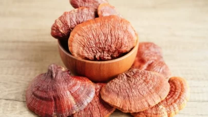 Reishi mantarı sağlığa etkisiyle dikkat çekiyor
