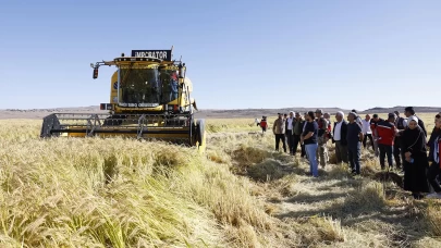 Coğrafi işaretli Karacadağ pirinci, bereketiyle toplandı