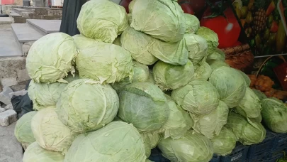 Muş lahanaları Diyarbakır'da tezgahlarda yerini aldı