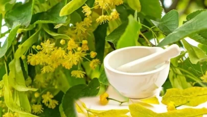 Süt ve ıhlamurun ciltte yarattığı şaşırtıcı etki