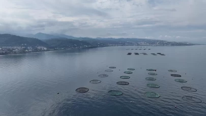 Karadeniz'den 31 ülkeye 278,7 milyon dolarlık su ürünü ihracatı