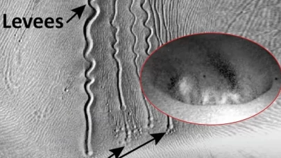 Filmdeki solucana benzerliğiyle dikkat çekti