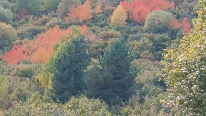 Posof'ta sonbahar güzelliği...