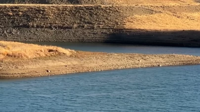 Hakkari’de Dilimli Barajı’nda su seviyesi 10 metre düştü: Kuraklık alarm veriyor