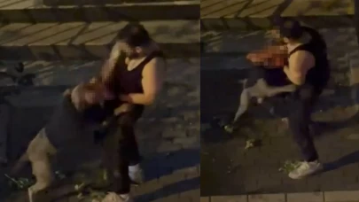 Sosyal medya bu olayı konuşuyor! Bir anda sahibine saldırdı