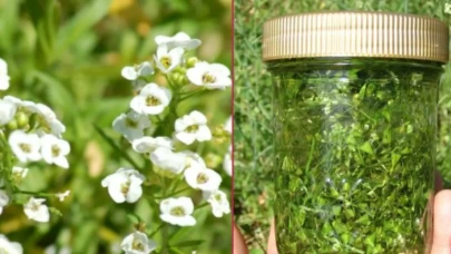 Yeniden doğmuş gibi olacaksınız