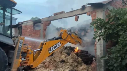 4 büyükbaş hayvan telef oldu