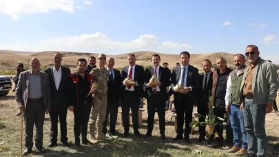 Tutak'ta şeker pancarı hasadı başladı