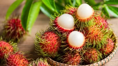 Son dönemin yeni süper gıdası