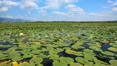 Biyoçeşitlilik ve habitatın korunması için geliştirilen projeler desteklenecek