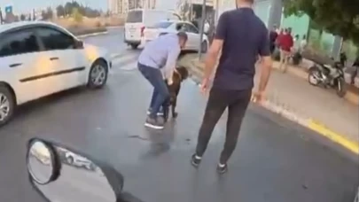 Mersin’de ağızlıksız gezdirilen ‘Rottweiler’ dehşet saçtı