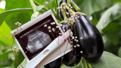Hamilelikte Patlıcan Tüketimi Güvenli mi? İşte Anne Adayları İçin Öneriler