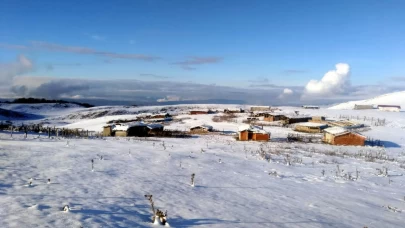 Türkiye beyaz gelinliğini giydi! Birçok ilde kar yağışı hayatı olumsuz etkiledi