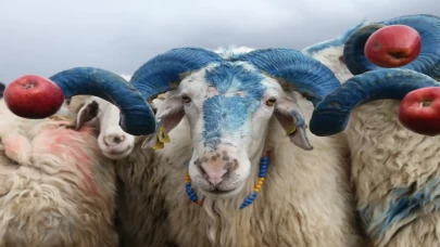 Kars’ta “çoban bayramı” renkli görüntülere sahne oldu