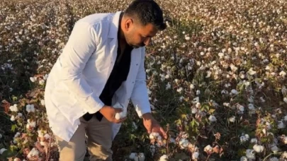 Şanlıurfa’da pamuk hasadı başladı: “Fırat Altını” tarlalarda
