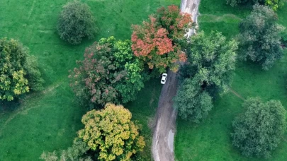 Efteni Gölü’nde sonbahar tüm güzelliğiyle sahnede