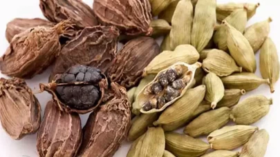 Küçücük bir tane, büyük şifa: Kakule