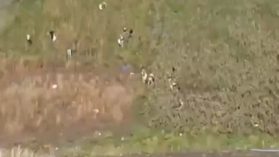 Hatay’da yasaklı madde operasyonu: 89 kilo esrar ve bin 800 kök kenevir ele geçirildi