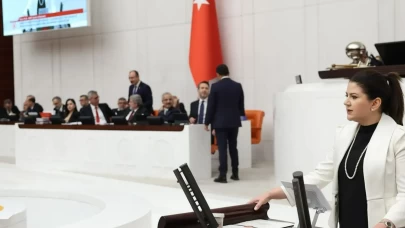 Çankırı'nın göbeğinde büyük tehlike! MHP'li Yılık'tan acil çözüm önerileri