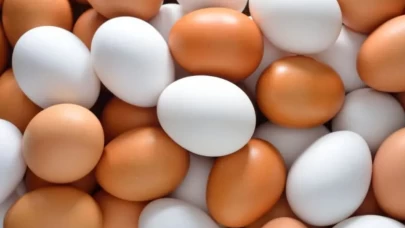 Bilimsel gerçekler şaşırtıcı!