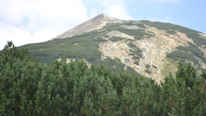 Arananlar listesindeydi, 12 yıl sonra bulundu! Yıllarca dağda münzevi yaşam sürmüş