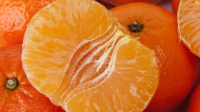 Fiyatlar yüzde 30 düştü, vatandaşın ilgisi arttı