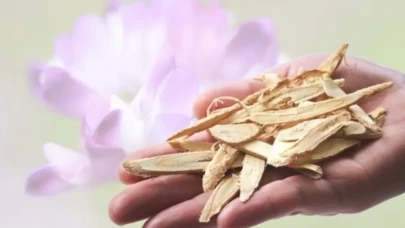 Astragalus’un vücuda bilimsel etkileri şaşırtıyor