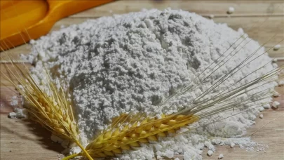 Türkiye 17 ay sonra un ihracatında rekor artış yakaladı