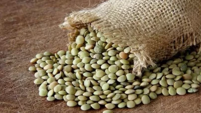 Yeşil mercimek ve yulaf ithalatında gümrük vergileri indirildi