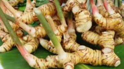 Baş ağrısına doğal çözüm arayanlara şifa oluyor