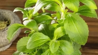 Kalorisiz tatlı mümkün! Diyetlerin yeni kahramanı