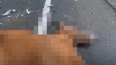 Nevşehir’de otomobil başıboş atlara çarptı: 2 at öldü