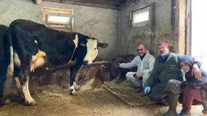 Türk bilim insanlarından süt alerjisine çığır açan çalışma