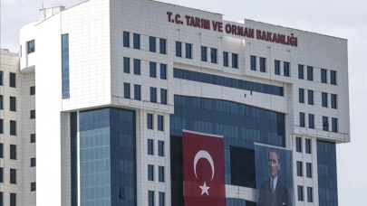 Bakanlık düğmeye bastı! Yeni yönetmelik yürürlükte