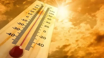 BM'den ürküten rapor: Sıcaklığa bağlı ölümler yüzde 63 arttı