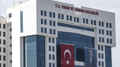 6 ton mandalina imha edildi! Tarım ve Orman Bakanlığı açıkladı