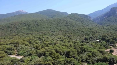 Çankırı Bayramören’de mantar toplamak için ormana giden yaşlı kadın ölü bulundu
