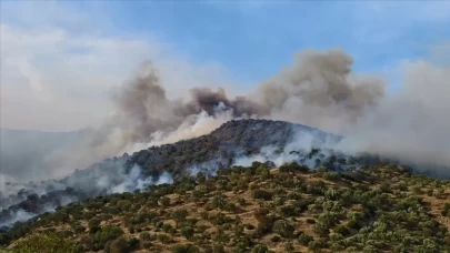 Aydın'da ziraat alanında yangın!