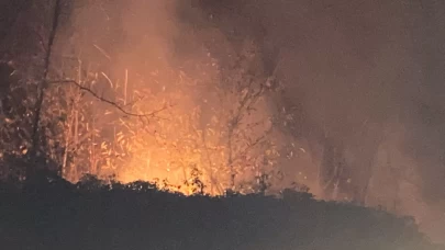 Trabzon'da örtü yangını