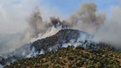 Bozdoğan’da orman yangını: Alevler rüzgârla yayılıyor