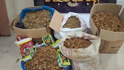 Samandağ’da kaçak tütün operasyonu: 270 kilo tütün ve kaçak çay ele geçirildi