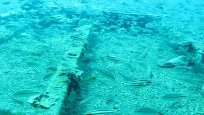 Resmi Gazete'de yayımlandı!