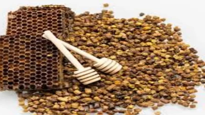 Perga’nın faydaları saymakla bitmiyor