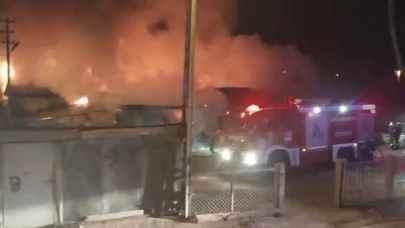 Hayvanlar son anda kurtarıldı