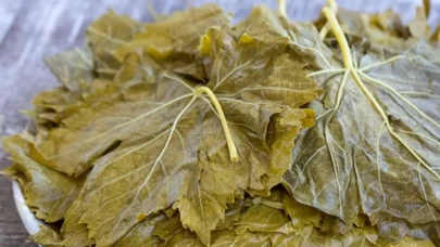 Taze ve salamura asma yaprağı nasıl kullanılır?